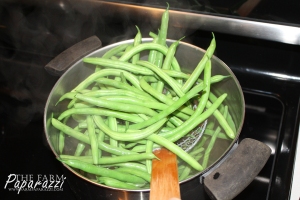 Freezing Green Beans | The Farm Paparazzi