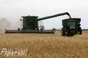 Malt Barley Harvest 2014 | The Farm Paparazzi