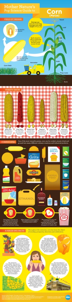 Mother Nature's Pop Science Guide to Corn [Infographic]