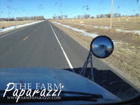 Hauling Corn | The Farm Paparazzi